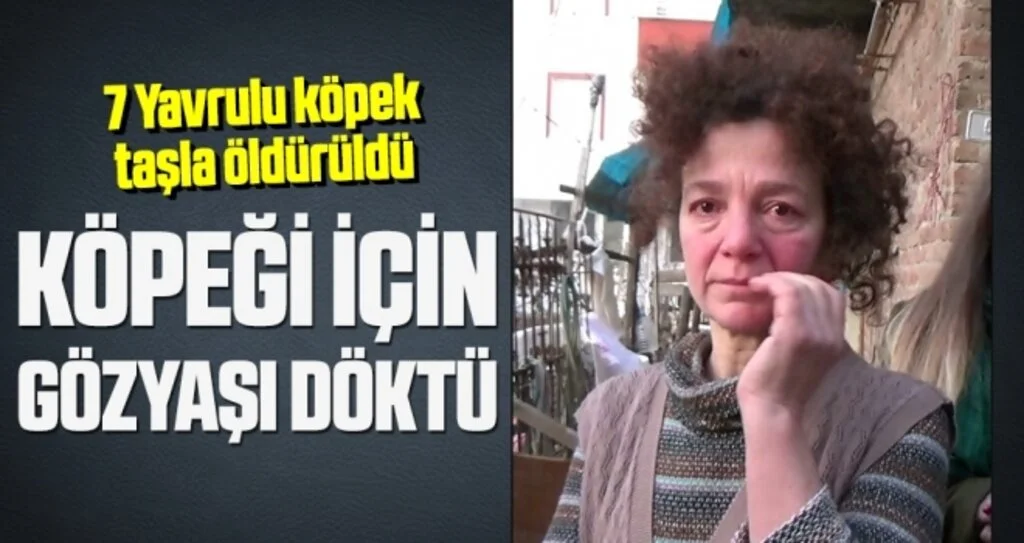 Köpeğe taş atarak ölmesine yol açan şahıs hakkında suç duyurusu