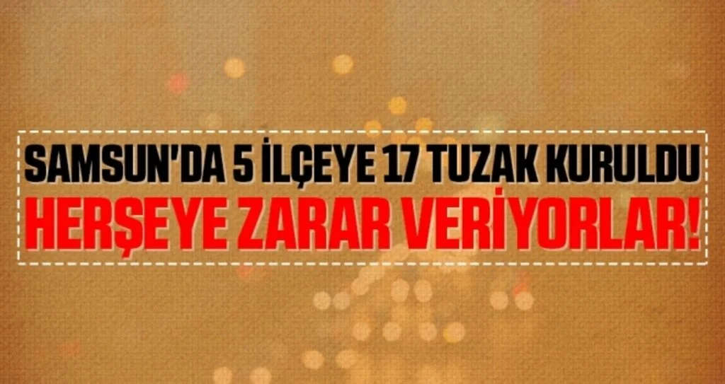 Samsun'da 5 İlçeye 17 Tuzak Kuruldu Haftada İki Kez Kontrol Ediliyor!