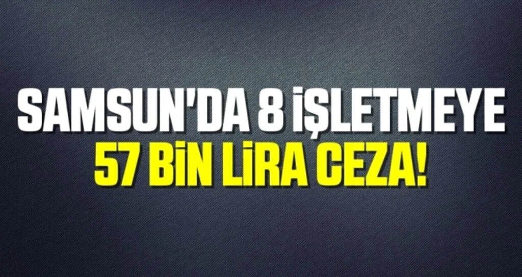 Samsun'da 8 İşletmeye 57 Bin Lira Ceza!