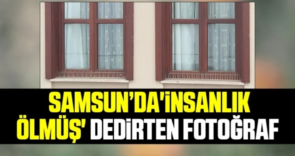 Samsun'da 'İnsanlık ölmüş' dedirten fotoğraf