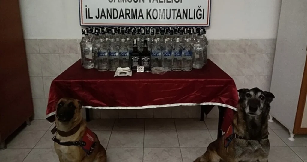 Samsun’da sahte içki ve uyuşturucu madde operasyonu: 2 gözaltı