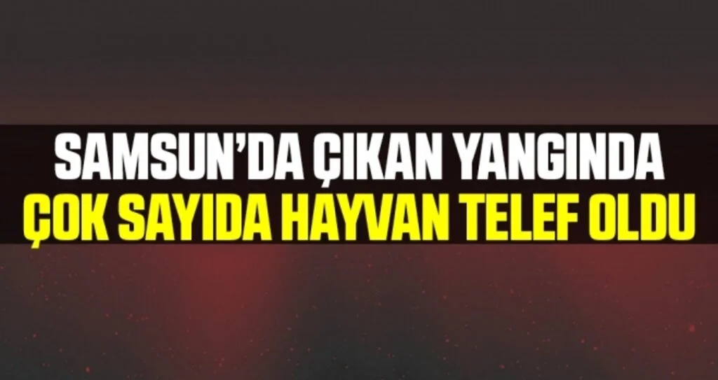 Samsun'da Simenit Gölü’nde Yangın: Çok Sayıda Hayvan Telef Oldu