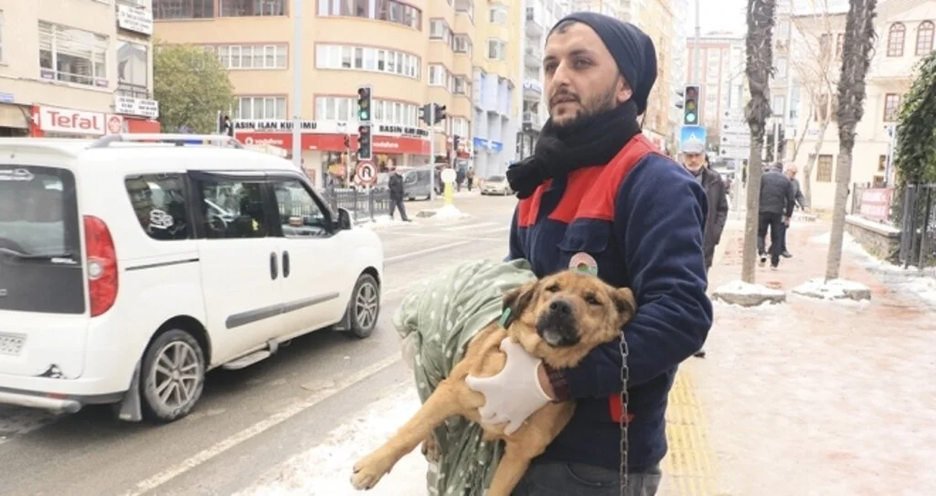 Üşüyen Köpeğe Vatandaş Şefkati