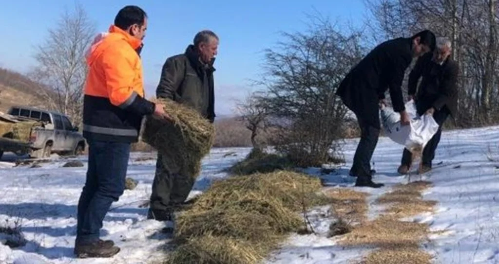 Yaban Hayvanları İçin Doğaya Yem Bırakıldı