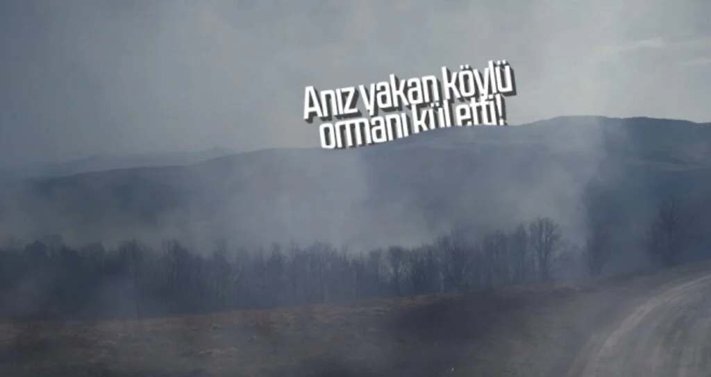 Anız yakan köylü ormanı kül etti!
