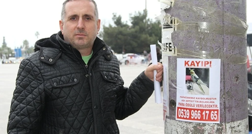 ‘Artist’i bulanı ödüllendirecek