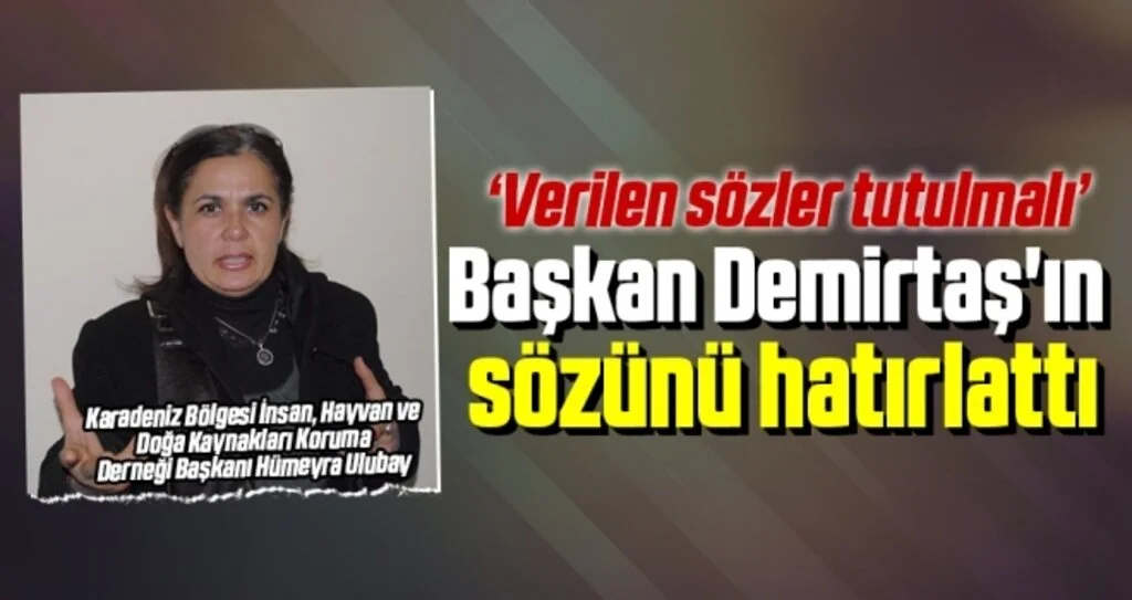 Başkan Demirtaş'ın Sözünü Hatırlattı