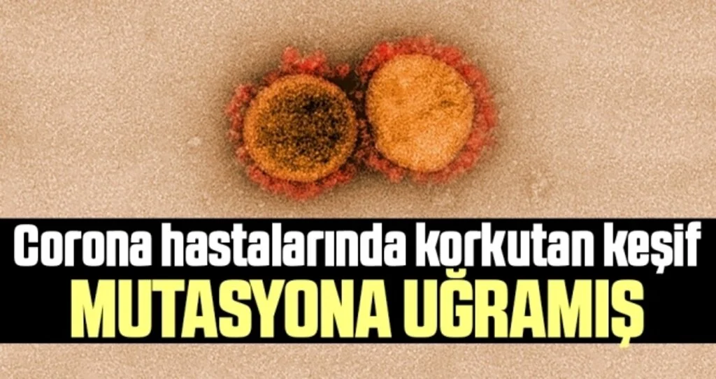 Bilim insanlarından korkutan corona açıklaması: 40 mutasyon geçirmiş virüs bulundu