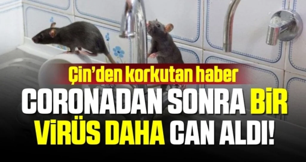 Çin’den korkutan haber! Şimdi de hantavirüs can almaya başladı