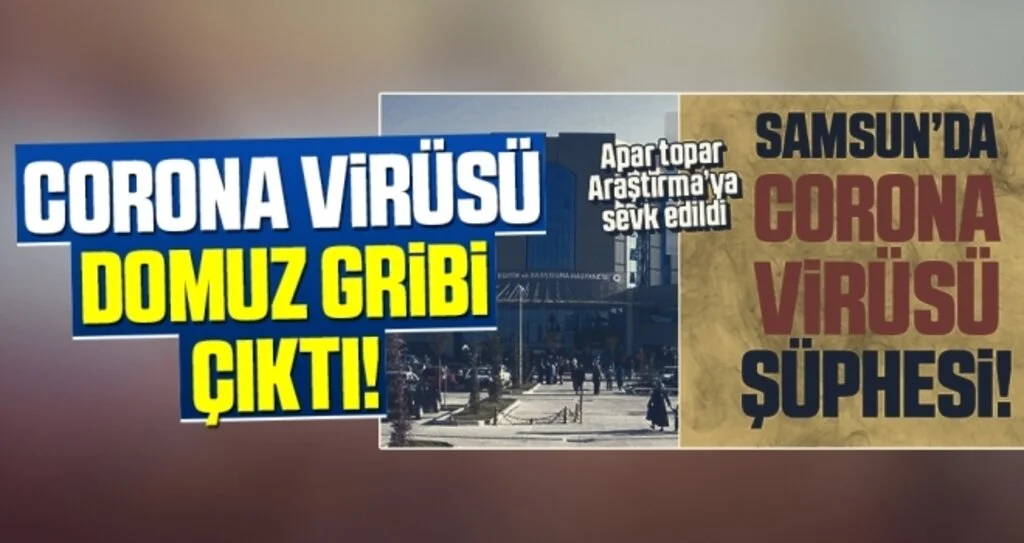 Corona Zannedildi Domuz Gribi Çıktı