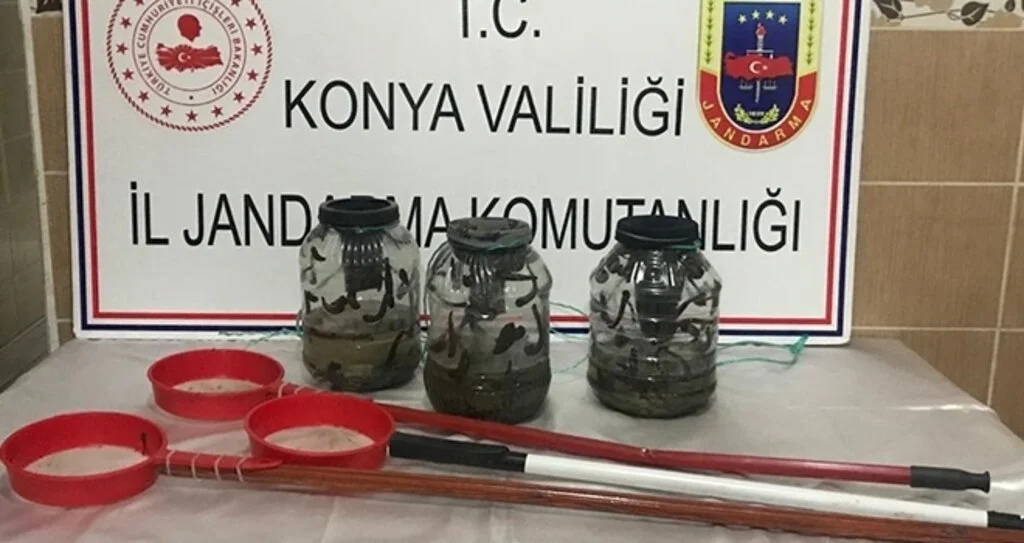 Kaçak sülük avcılarına 221 bin lira ceza