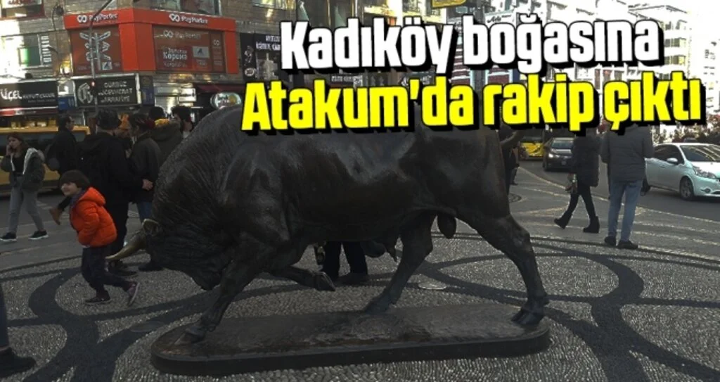 Kadıköy Boğasına Atakum'da Rakip Çıktı