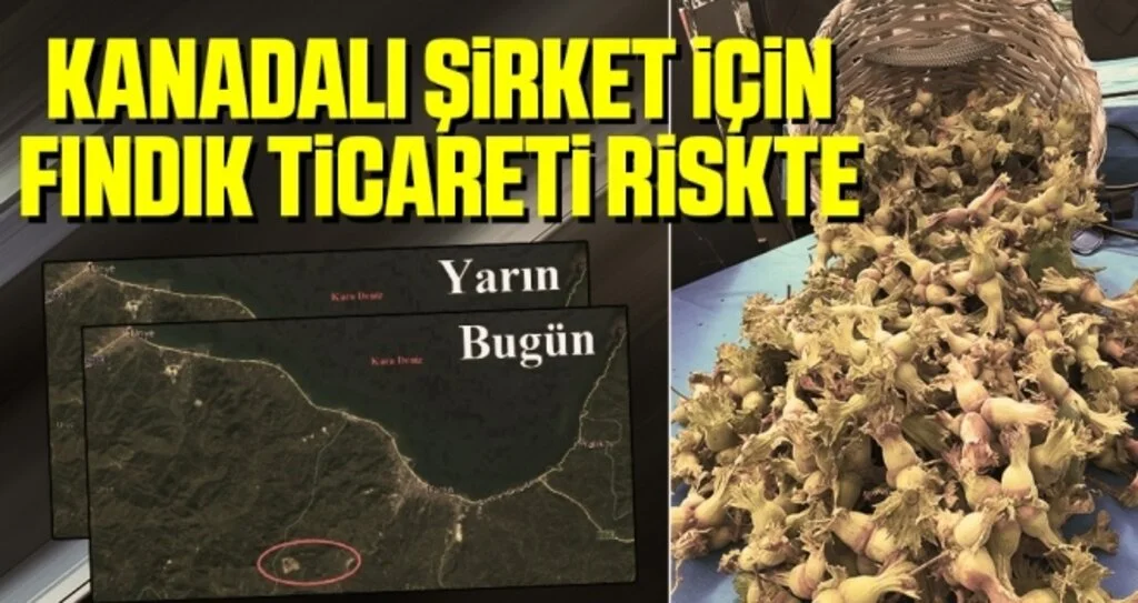 Kanadalı Şirket İçin Fındık Ticareti Riskte