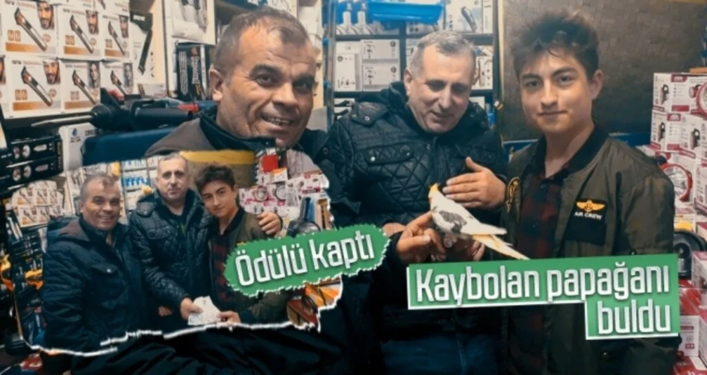Kaybolan papağanı buldu, ödülü kaptı