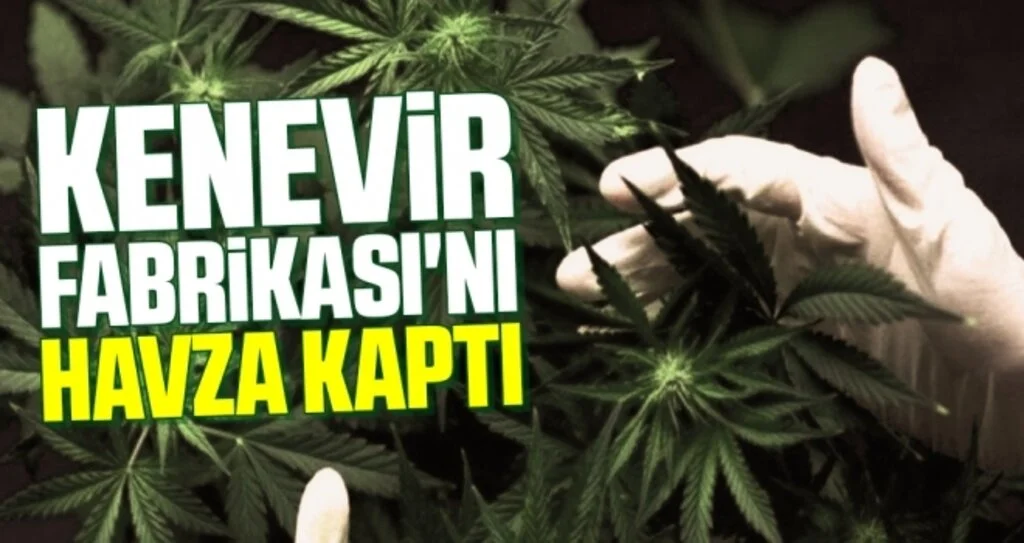 Kenevir Fabrikası'nı Havza kaptı