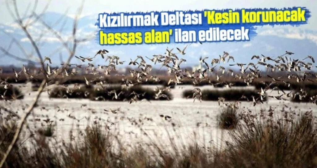 Kızılırmak Deltası 'Kesin Korunacak Hassas Alan' İlan Edilecek