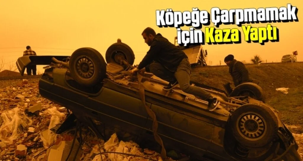 Köpeğe Çarpmamak İçin Kaza Yaptı