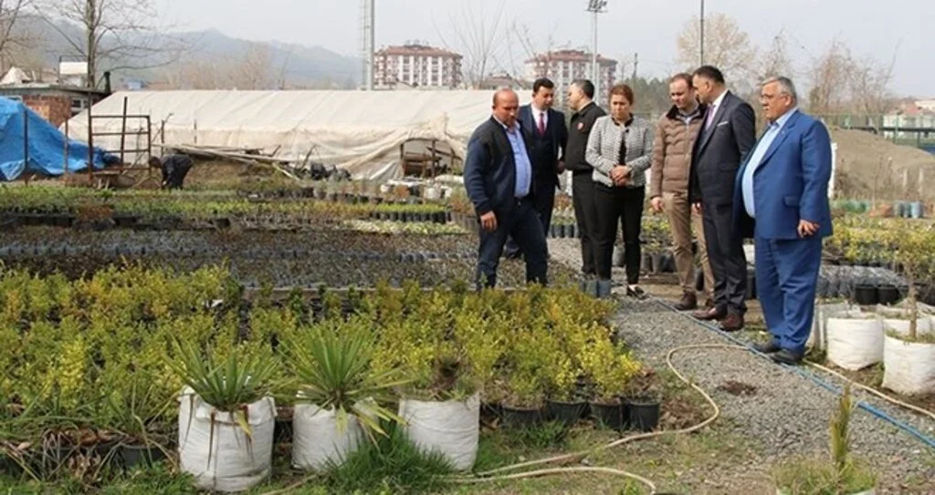 Salıpazarı Süs Bitkisi Yetiştiriyor