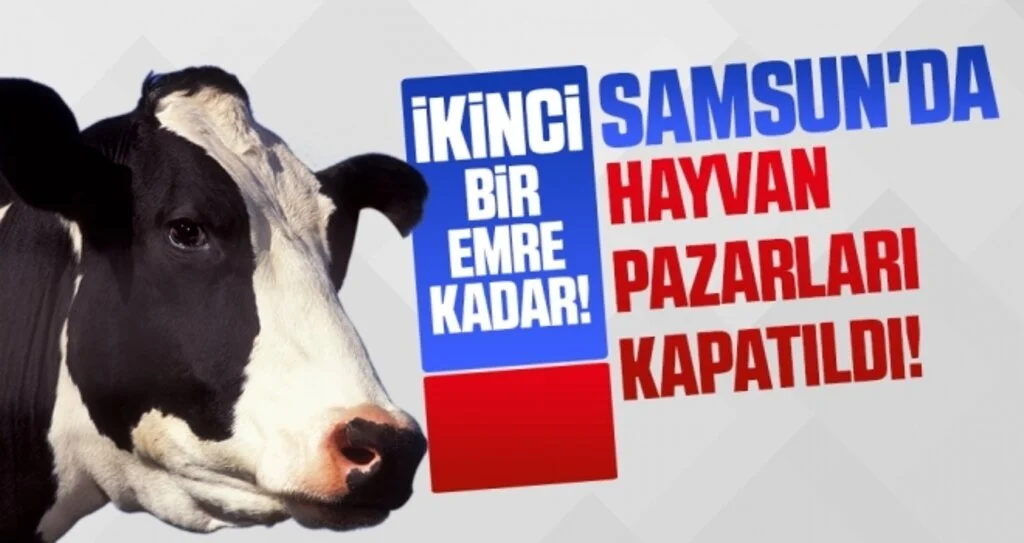 Samsun'da hayvan pazarları kapatıldı