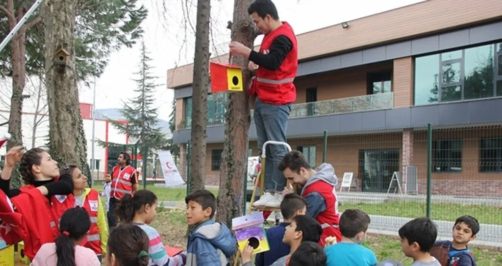 Samsun'da kuşlar için rengarenk yuvalar
