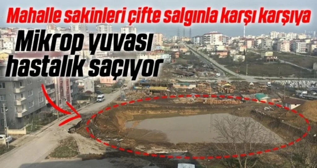 Samsun'da Mahalle Sakinleri Çifte Salgınla Karşı Karşıya