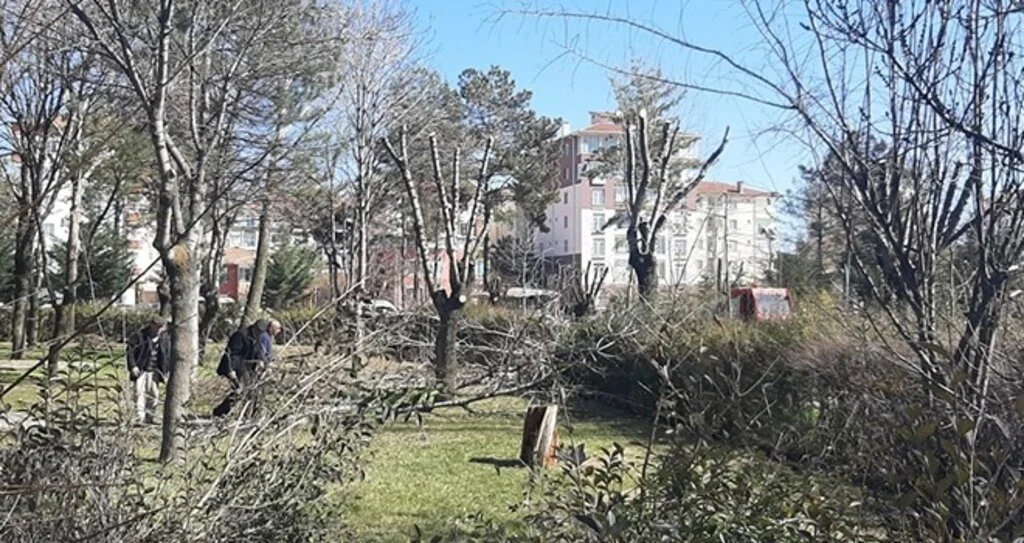 Sungurlu Şehir Parkına Makyaj