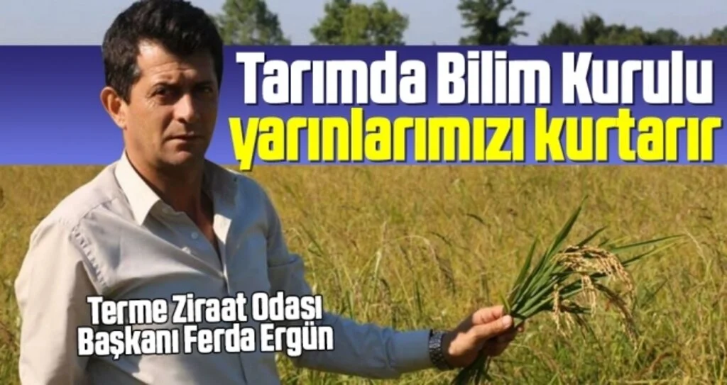 Terme Ziraat Odası Başkanı Ferda Ergün: Tarımda Bilim Kurulu yarınlarımızı kurtarır
