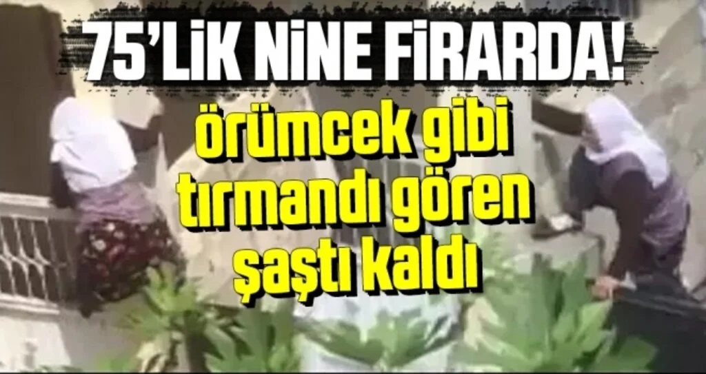 75’lik nine firarda! Örümcek gibi tırmandı
