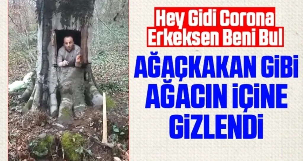 Ağaçkakan gibi ağacın içine gizlendi