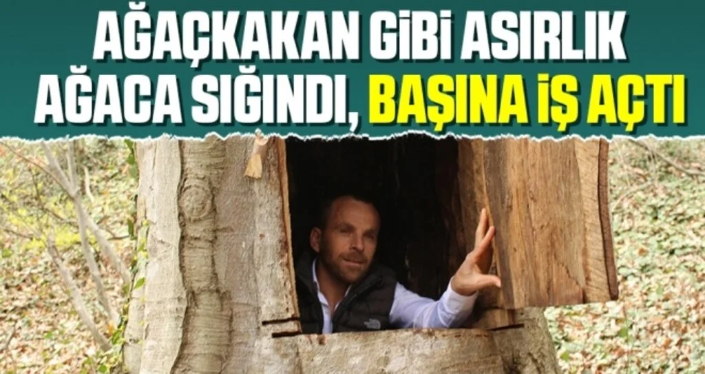 Ağaçkakan Gibi Asırlık Ağaca Sığındı, Başına İş Açtı