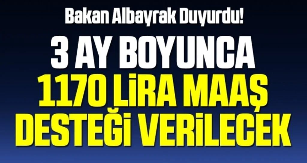 Bakan Albayrak duyurdu! 3 ay, aylık bin 170 lira maaş desteği