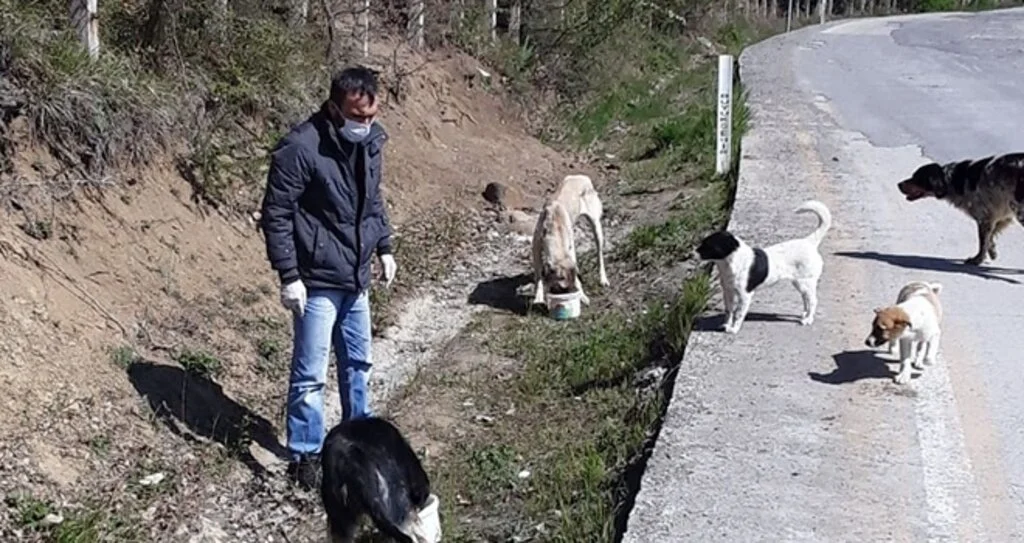 İlkadım’da sokak hayvanları için aralıksız mesai