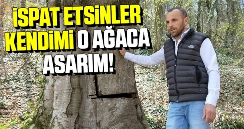 'İspat Etsinler, Kendimi O Ağaca Asarım!'