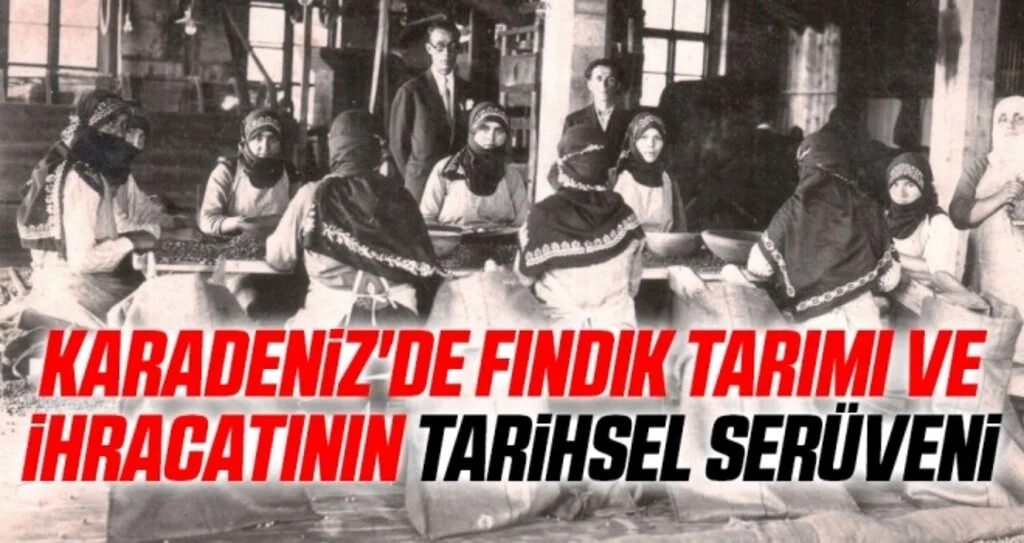 Karadeniz'de Fındık Tarımı ve İhracatının Tarihsel Serüveni