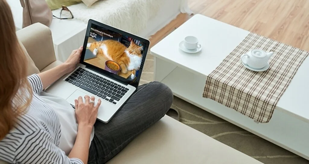 Koronavirüs günlerinin online alışveriş istatistikleri açıklandı