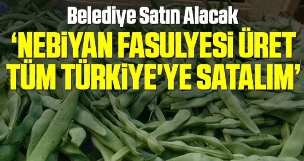 Nebiyan fasulyesi üret tüm Türkiye'ye satalım 