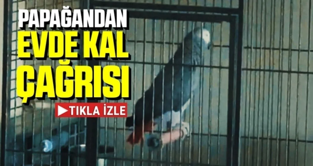Papağandan 'Evde Kal' Çağrısı