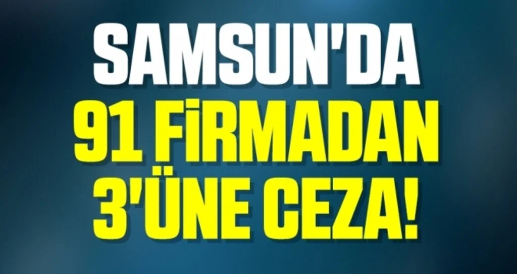 Samsun'da 91 Firmadan 3'üne Ceza!