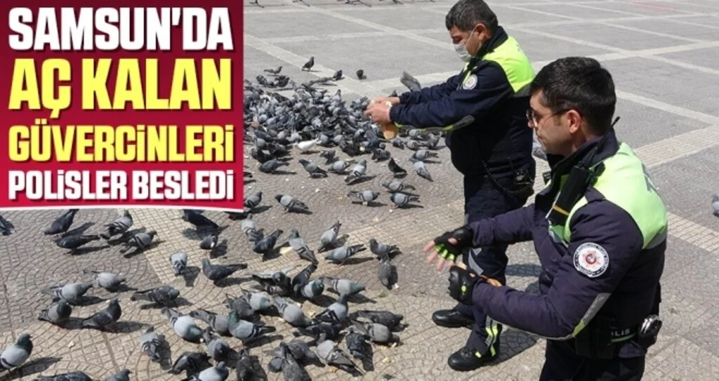 Samsun'da Aç Kalan Güvercinleri Polisler Besledi