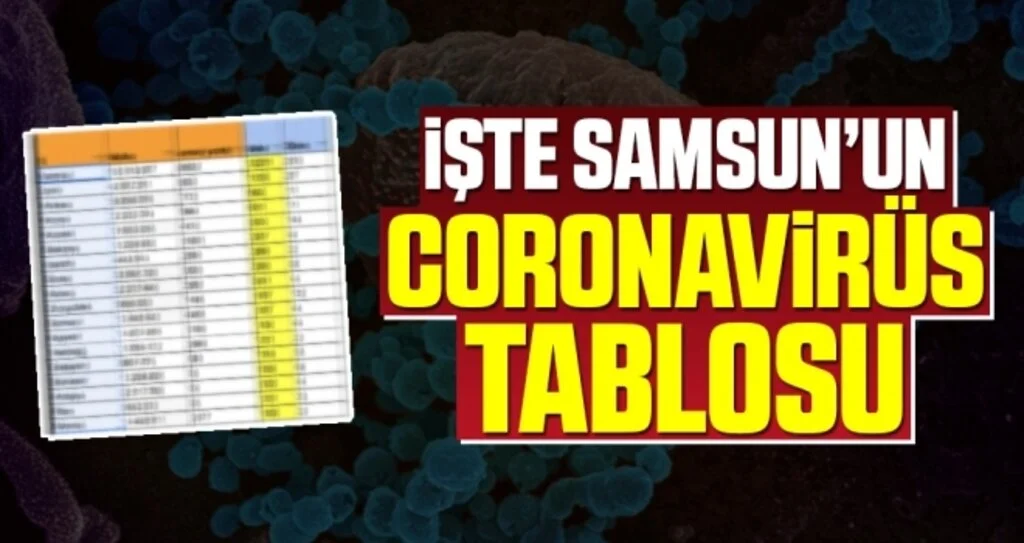 Samsun'un Corona Tablosu