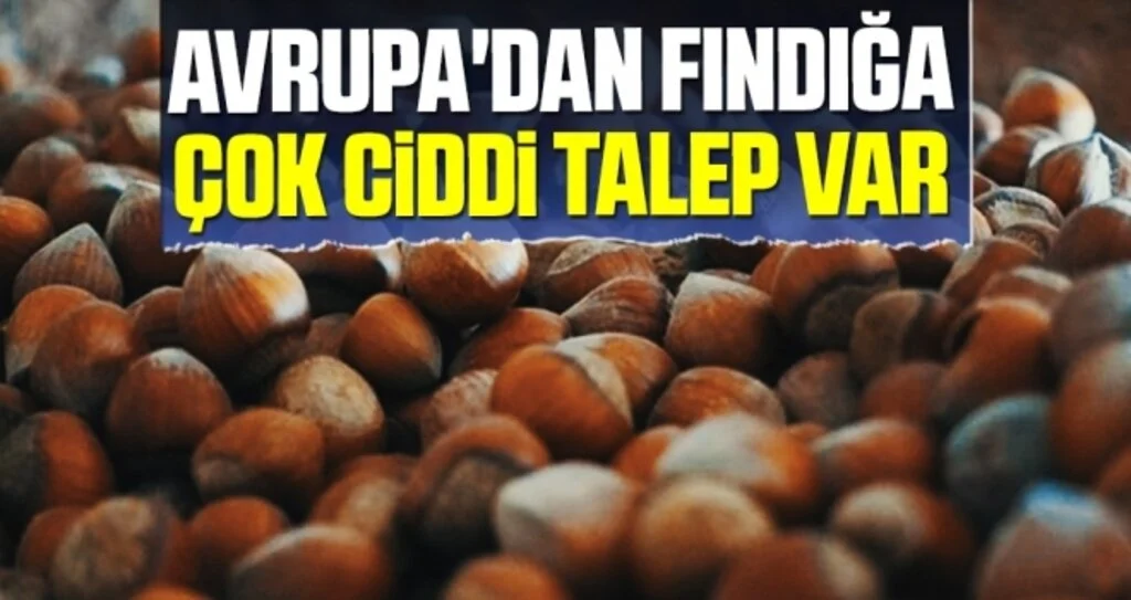 Sarıkahraman: 'Avrupa'dan Fındığa Çok Ciddi Talep Var'