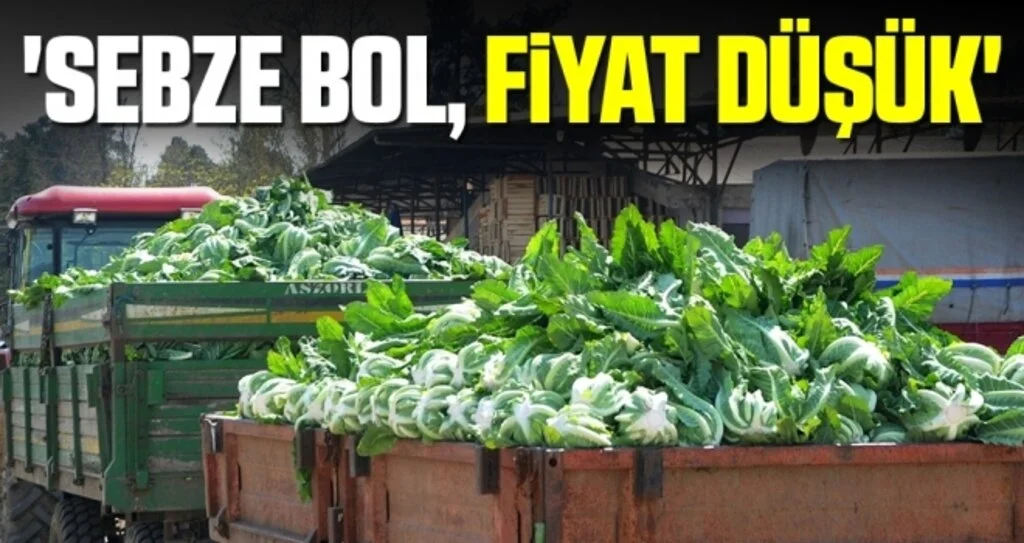 'Sebze bol, fiyat düşük'