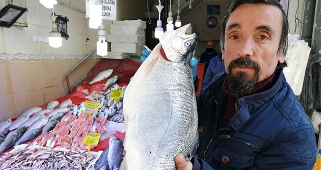 Sezonun son balıkları '15 TL'