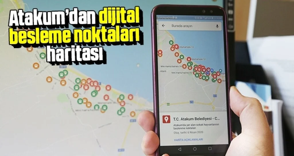 Sokak canlıları için Atakum’dan dijital besleme noktaları haritası