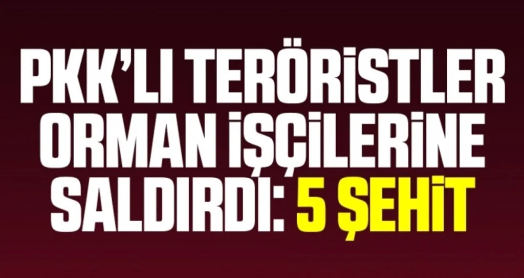 Son dakika… Diyarbakır’da PKK’lı teröristler orman işçilerine saldırdı: 5 şehit