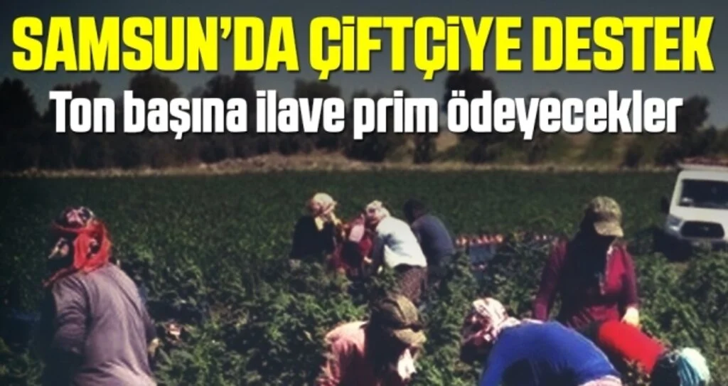 Tarım Kredi Kooperatifleri Samsun Bölge Birliğinden çiftçiye destek