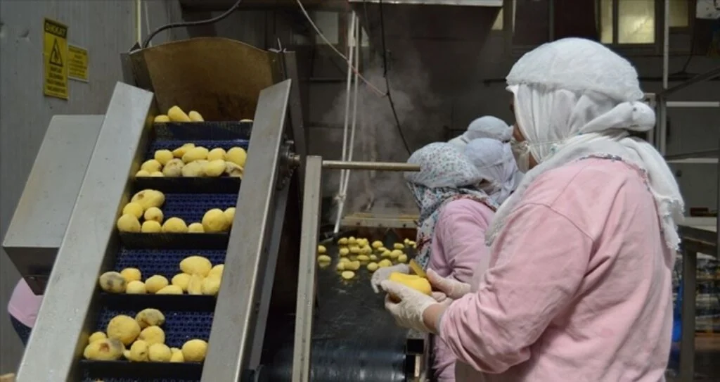 Tüketicinin patates püresine ilgisi arttı