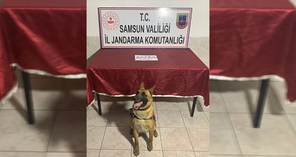 Uyuşturucu haplarını 'Ozon' yakaladı