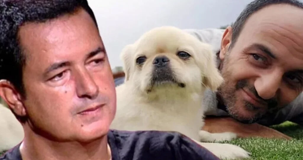 Acun Ilıcalı açıkladı! Arkadaşları Ersin Korkut'a Mess'e benzeyen köpek aldı!