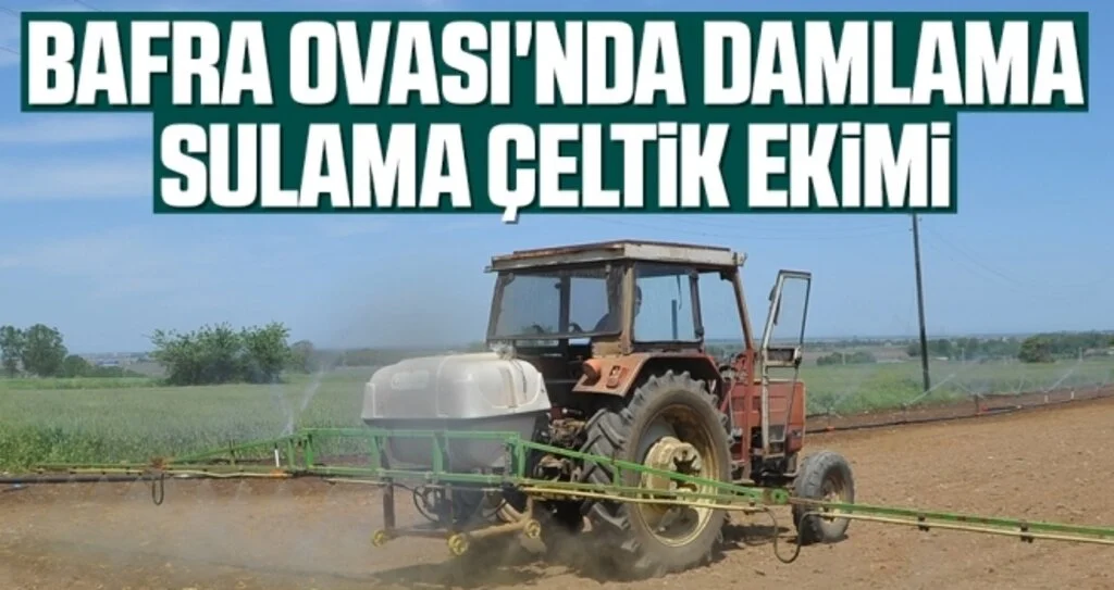Bafra Ovası'nda damlama sulama çeltik ekimi